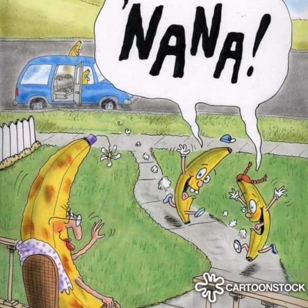 Meet your Posher, Misty